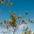 Embracing the Minimalist Lifestyle: A Journey to Simplicity and Fulfillment